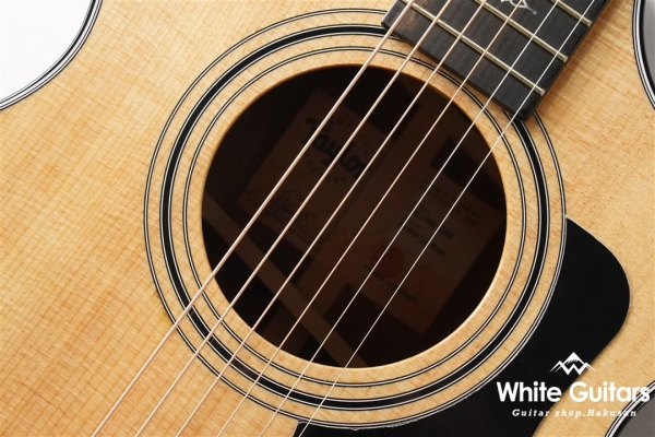 312ce 12Fret V-Class